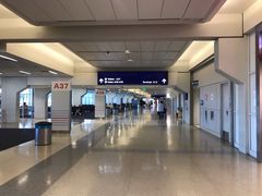 -达拉斯 沃斯堡国际机场