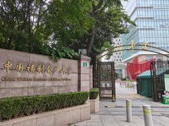 -中国福利会少年宫