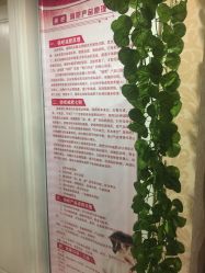 -南京俏吧美容美体中心