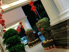 -锦粤宫·精致粤菜(深圳北站店)