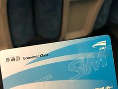 -龙阳路磁悬浮列车总站-停车场