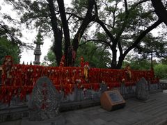 -大槐树寻根祭祖园