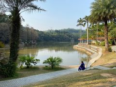 -深圳仙湖植物园