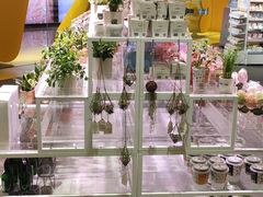 -KKV(东莞海德汇一城店)