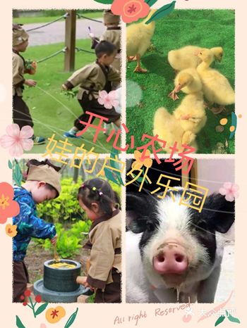 上海的小朋友的“放电”去这里!