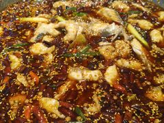 -胖子鱼·天水麻辣鱼火锅(秦州407店)