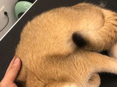 -comecome来吧宠物(奥克斯中心店)