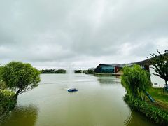 -上海长兴岛郊野公园