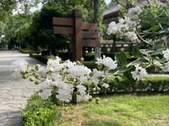 -盘门景区