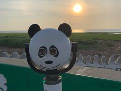 -南汇嘴观海公园