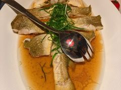 -老吉堂上海本帮菜(工体店)