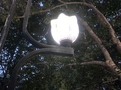 -莲花池公园