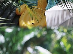 -海南清水湾莱佛士酒店