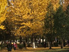 -辽东学院(南校区)