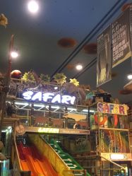 -卡通尼·Safari非洲探索乐园·生日会(金桥国际商业广场店)