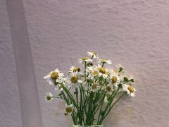 -红小满休闲餐厅(十全街店)