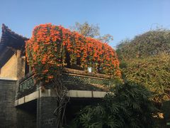 -东莞市可园博物馆