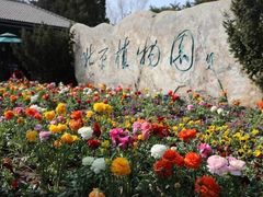 -北京植物园南门售票处