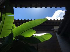 -老屋咖啡