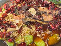-吴星星毛血旺烤鱼