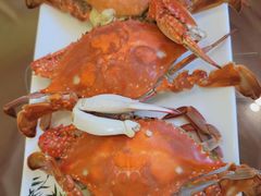 -宾朋海鲜饭庄(兴海路店)