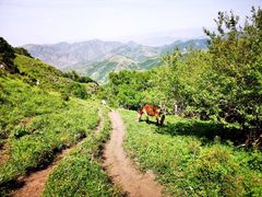 -北京灵山风景区