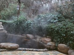 -天目湖涵田半山温泉