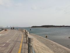 -琴岛之星摩天轮