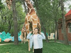 -南戴河国际娱乐中心