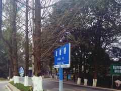 -铁山坪森林公园