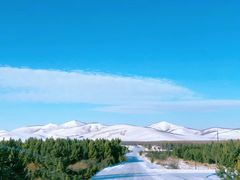 -塞罕坝国家级自然保护区