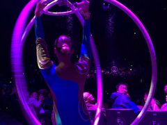 -珠海横琴长隆《卡卡虎奇遇记》