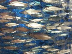 -驴世家驴肉火烧·凉皮·胡辣汤(五道口店)