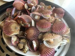 -港畔赶海蒸汽海鲜烧烤自助(仙螺岛店)
