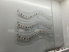 -贝壳王国博物馆