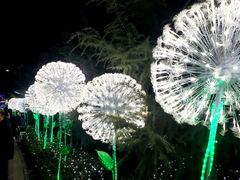 -金城公园