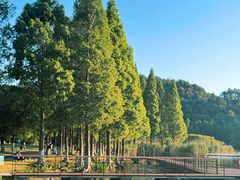 -晓琦农家菜馆·地道农家菜