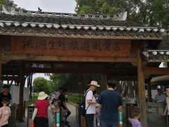 -洪湖生态旅游区