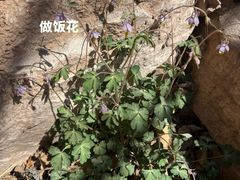 -邢台大峡谷