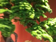 -阿伟海鲜楼·福建菜(延寿店)