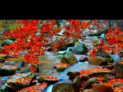 -丹东天桥沟景区