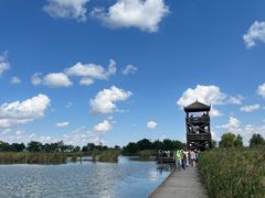 -盐城丹顶鹤湿地生态旅游区