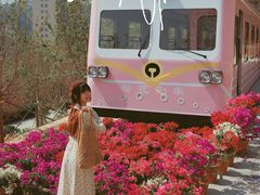 -小南山公园