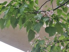 -漕溪路(地铁站)