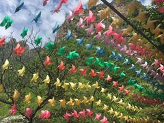 -十渡东湖港风景区