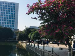 -广西职业师范学院(相思湖校区)