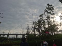 -琅岐红光湖公园