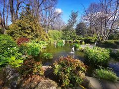 -墨尔本皇家植物园