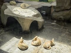 -上海野生动物园