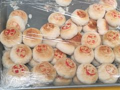 -高东镇樱花园